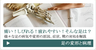 足の変形と病理