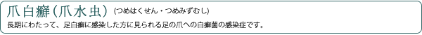 爪白癬(爪水虫)