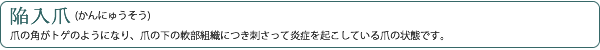 陥入爪・巻き爪