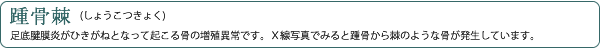踵骨棘