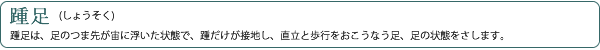 踵足