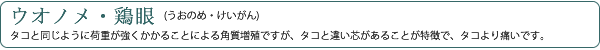 魚の目(鶏眼)