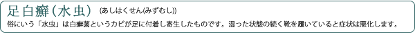 足白癬(水虫)