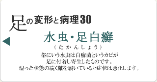 水虫・白癬