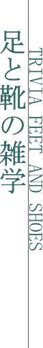 足と靴の雑学